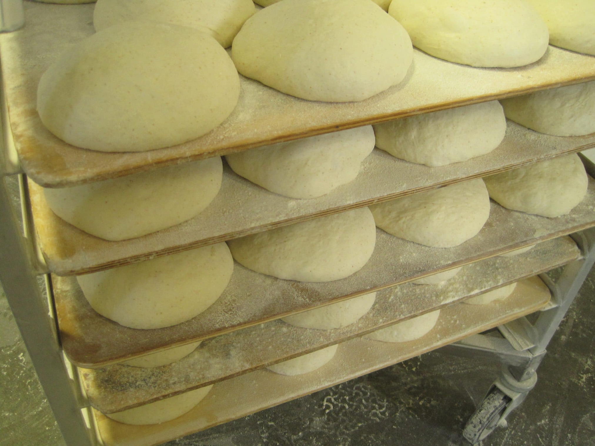 bread a crop essay Their crops exceed 98% of the total area of wheat wheat grains are the main food product that is used to make flour for bread essays, research paper. bread a crop essay Their crops exceed 98% of the total area of wheat wheat grains are the main food product that is used to make flour for bread essays, research paper.