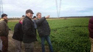 In front of the peas at Le Moulin des Cedres